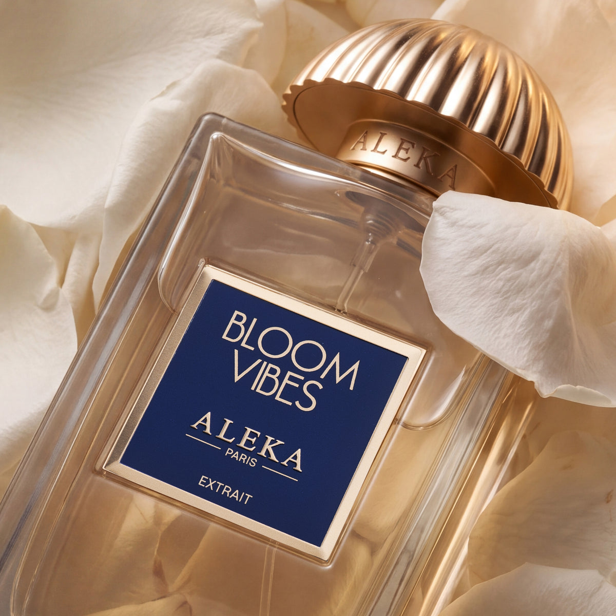 Bloom Vibes
